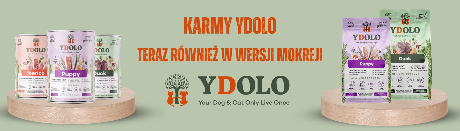 Ydolo