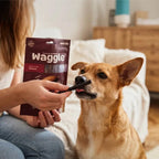 Waggle wołowe