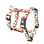 Szelki dla psa guardy Max&Molly Watermelon