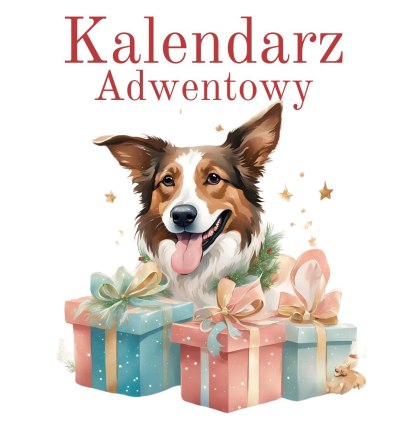 Kalendarz Adwentowy dla psów