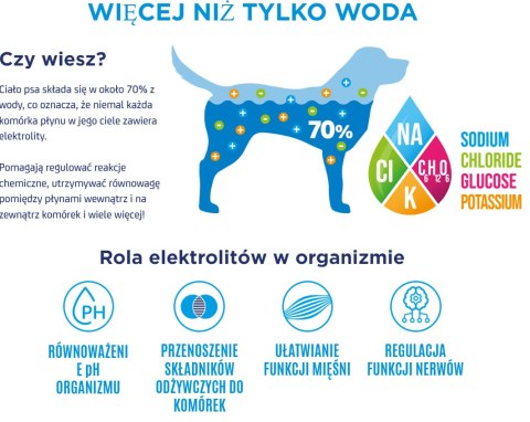 Napój izotoniczny Oralade Active Kaczka 250ml Napój izotoniczny Oralade Active Kaczka 250ml