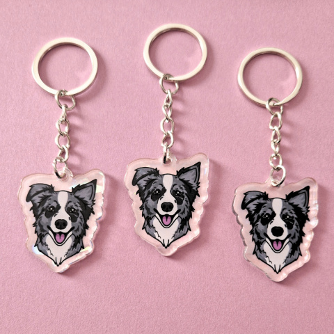 Lenee Brelok Border Collie Merle Lenee Brelok Border Collie Merle