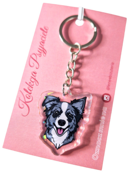 Lenee Brelok Border Collie Merle