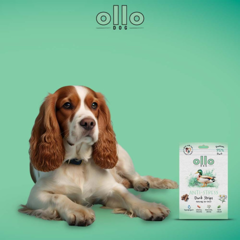 Ollo Air Dried Antistress Duck Strips Przysmaki funkcyjne dla psa 80g Ollo Air Dried Antistress Duck Strips Przysmaki funkcyjne dla psa 80g