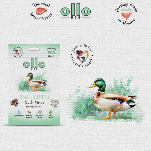 Ollo Air Dried Antistress Duck Strips Przysmaki funkcyjne dla psa 80g Ollo Air Dried Antistress Duck Strips Przysmaki funkcyjne dla psa 80g