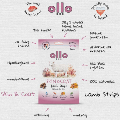 Ollo Air Dried Skin & Coat Lamb Strips Przysmaki funkcyjne dla psa 80g Ollo Air Dried Skin & Coat Lamb Strips Przysmaki funkcyjne dla psa 80g