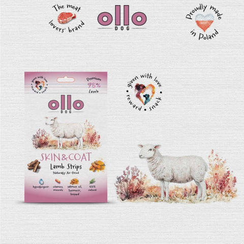 Ollo Air Dried Skin & Coat Lamb Strips Przysmaki funkcyjne dla psa 80g Ollo Air Dried Skin & Coat Lamb Strips Przysmaki funkcyjne dla psa 80g