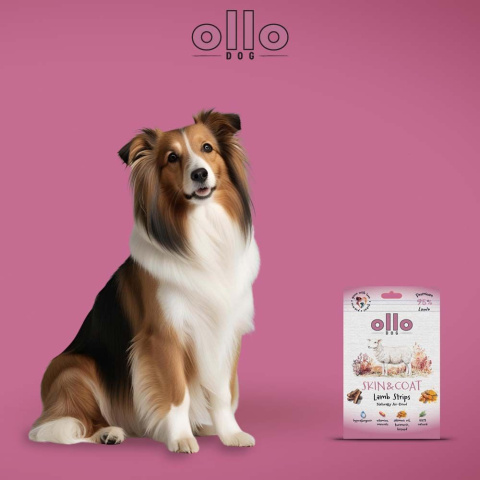 Ollo Air Dried Skin & Coat Lamb Strips Przysmaki funkcyjne dla psa 80g Ollo Air Dried Skin & Coat Lamb Strips Przysmaki funkcyjne dla psa 80g