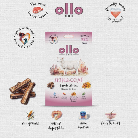 Ollo Air Dried Skin & Coat Lamb Strips Przysmaki funkcyjne dla psa 80g Ollo Air Dried Skin & Coat Lamb Strips Przysmaki funkcyjne dla psa 80g