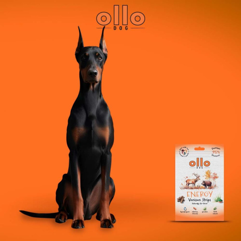 Ollo Air Dried Energy Venison Strips Przysmaki funkcyjne dla psa 80g Ollo Air Dried Energy Venison Strips Przysmaki funkcyjne dla psa 80g