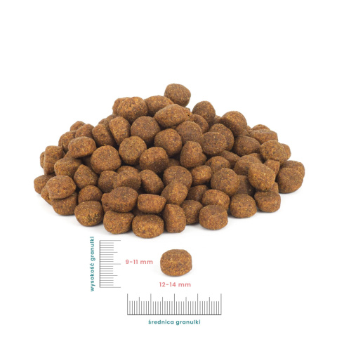 Perro Karma sucha Indyk z batatmi dla średnich i dużych ras 1kg Perro Karma sucha Indyk z batatmi dla średnich i dużych ras 1kg