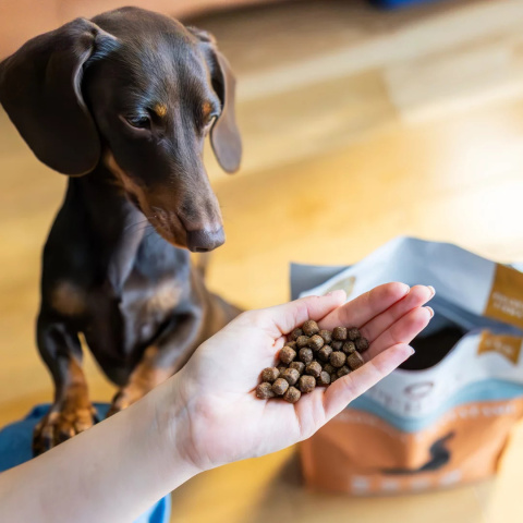 Perro Karma sucha Wołowina z batatami dla małych raz 1kg Perro Karma sucha Wołowina z batatami dla małych raz 1kg