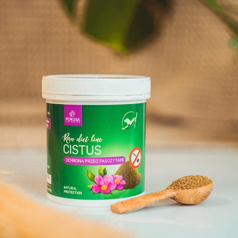 Pokusa RawDietLine Czystek Pokusa RawDietLine Czystek