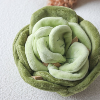 Pups & Bubs Zabawka węchowa dla psa Cabbage