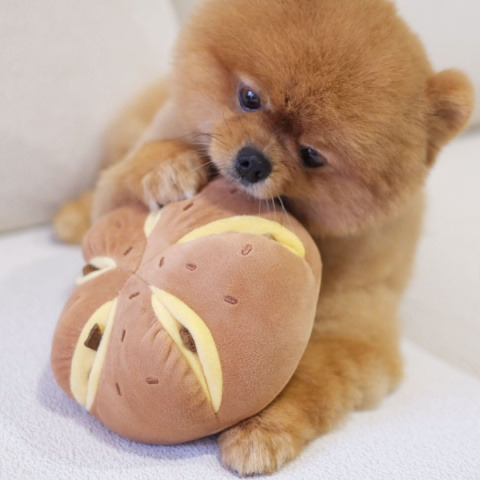 Pups & Bubs Zabawka węchowa dla psa Cheesy Bread Pups & Bubs Zabawka węchowa dla psa Cheesy Bread
