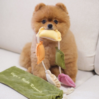 Pups & Bubs Zabawka węchowa dla psa Ravioli
