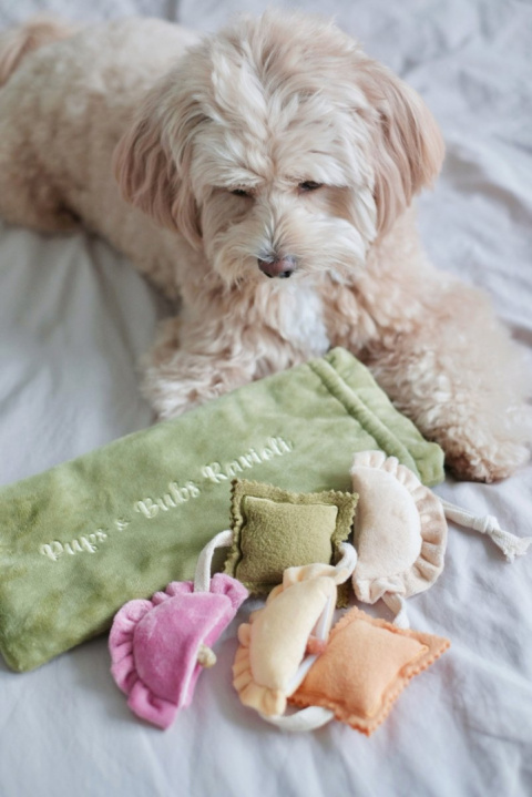 Pups & Bubs Zabawka węchowa dla psa Ravioli Pups & Bubs Zabawka węchowa dla psa Ravioli