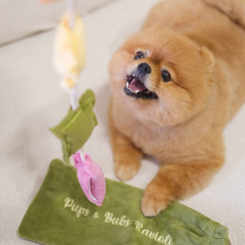Pups & Bubs Zabawka węchowa dla psa Ravioli Pups & Bubs Zabawka węchowa dla psa Ravioli