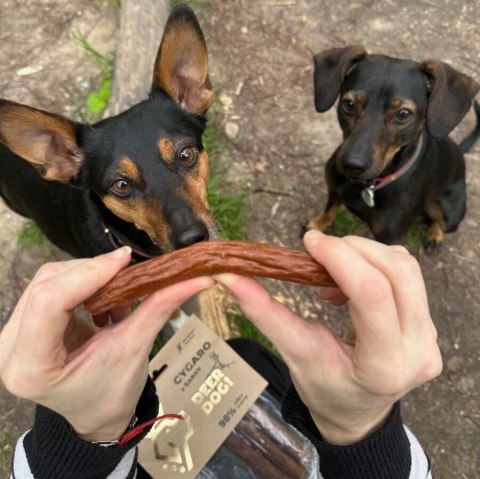 Deer Dog Gryzy z sarny 2szt
