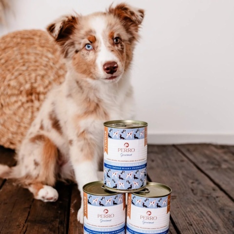 Karma mokra Perro Junior Gourmet Jeleń z gruszką dla szczeniąt 400g