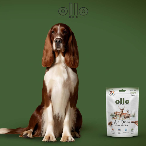 Ollo Air Dried Game Strips Paski z dziczyzny 80g Ollo Air Dried Game Strips Paski z dziczyzny 80g