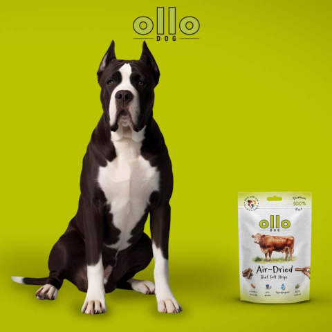 Ollo Air Dried Beef Strips Paski z wołowiny 80g Ollo Air Dried Beef Strips Paski z wołowiny 80g