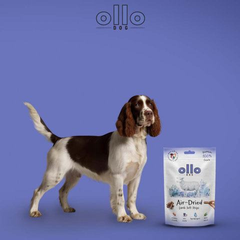 Ollo Air Dried Lamb Strips Paski z jagnięciny 80g Ollo Air Dried Lamb Strips Paski z jagnięciny 80g