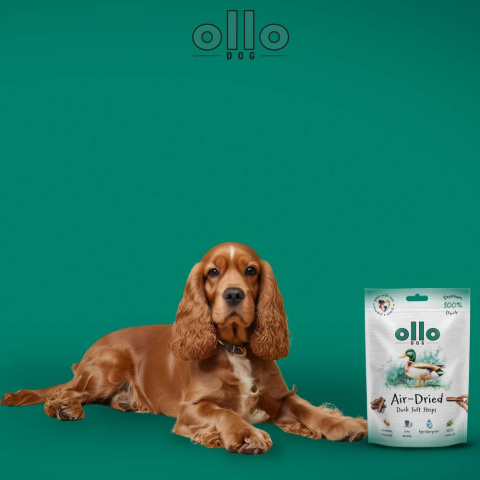 Ollo Air Dried Lamb Strips Paski z kaczki 80g Ollo Air Dried Lamb Strips Paski z kaczki 80g