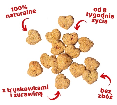 Park Life Love Bix Serduszkowe ciasteczka z truskawkami i żurawiną 100g