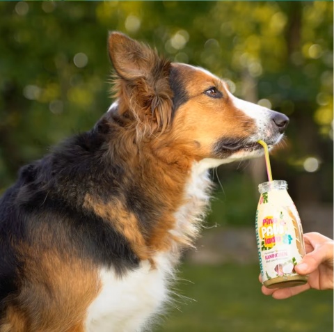 SmoothieDog Summer PinaPawLada 250ml SmoothieDog Summer PinaPawLada 250ml