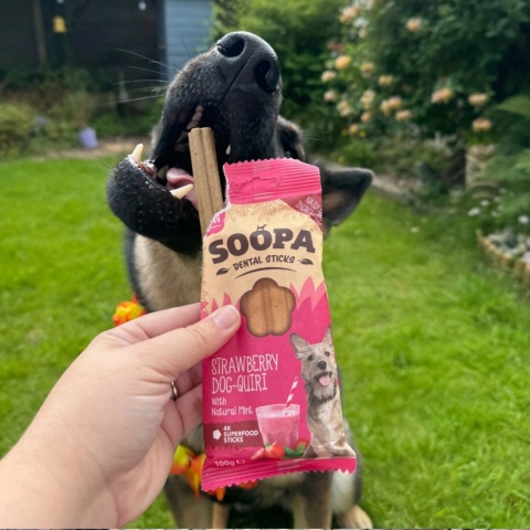 Soopa Dental Stick Strawberry Dog-Quiri Kokos, truskawka i mięta 100g