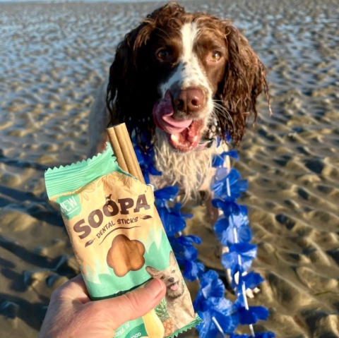 Soopa Dental Stick Paw-Na Colada Kokos i ananas 100g