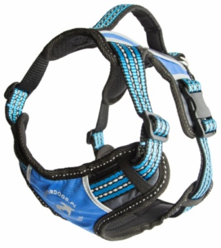 Allfordogs Szelki sportowe 2X, niebieskie