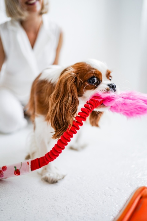EuphoriaDogs Szarpak Hot Wisienki