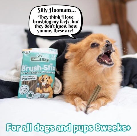 Park Life Brushies Whitening Pałeczki dentystyczne z indykiem i miętą 180g