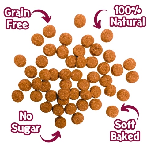Park Life Nibbles Trenerki o smaku boczku z syropem klonowym 80g