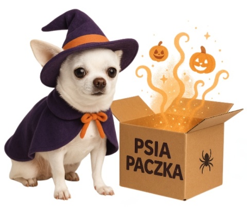 Strrrasznie Fajny Box Niespodzianka