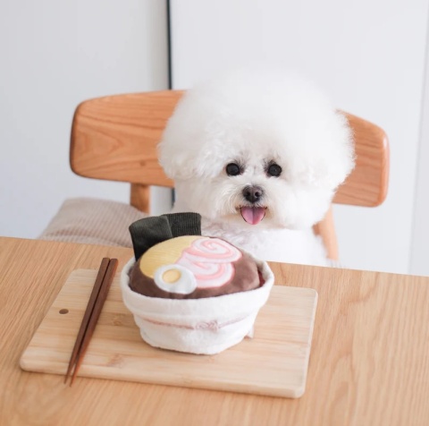 Zabawka węchowa dla psa Lambwolf Ramen