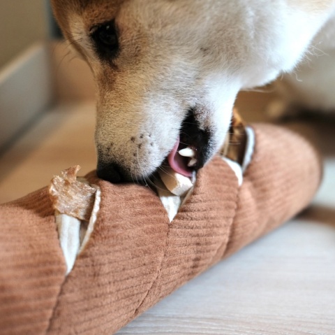 Zabawka węchowa dla psa Lambwolf Bagietka, średnia