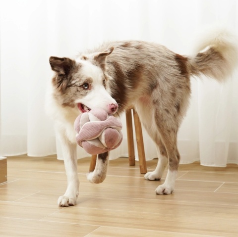 Zabawka węchowa dla psa Lambwolf Monti, bez piszczałek