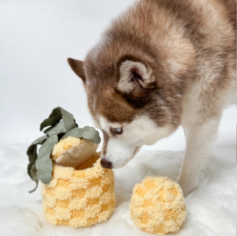 Zabawka węchowa dla psa Lambwolf Ananas