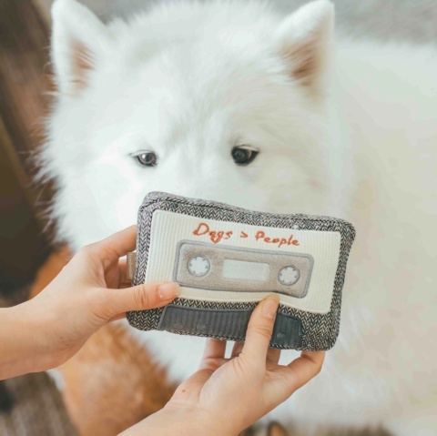 Zabawka węchowa dla psa Lambwolf Kaseta