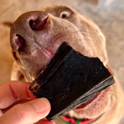 Cooka's Cookies Beef Brownies Przysmaki z wątroby wołowej 95g