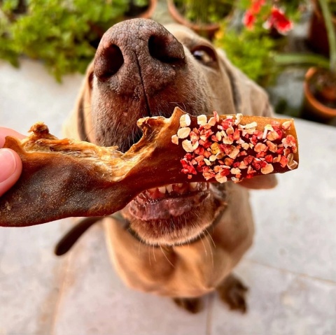 Cooka's Cookies Candy Crush Zestaw przysmaków