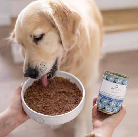 Karma mokra Perro Gourmet Konina z korzeniem pietruszki 400g