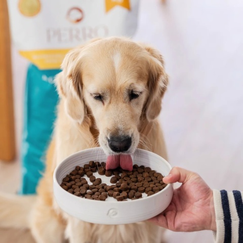 Perro Karma sucha dla średnich i dużych ras Kaczka z batatami 1kg