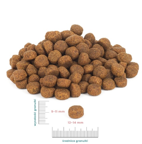Perro Karma sucha dla średnich i dużych ras Wołowina z jagnięciną 1kg