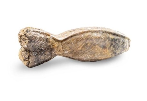 Psiastki Morskie smaczki Rybka z łososia