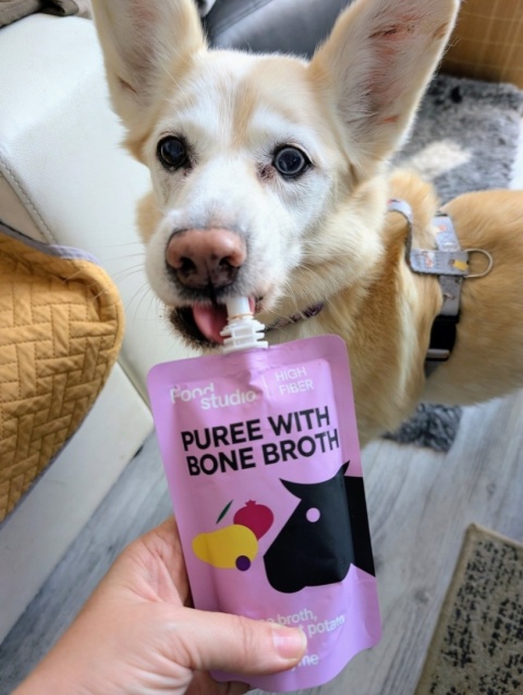 Puree dla psów Food Studio Marchewka, dynia, czarna porzeczka i kurkuma 150ml