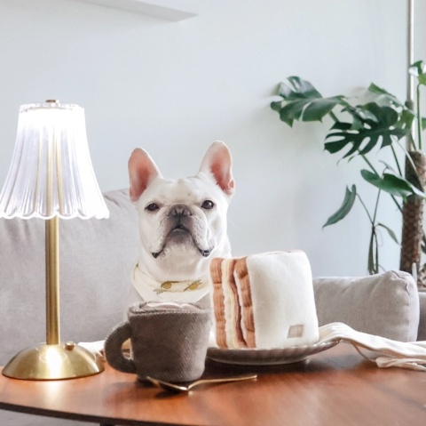 Zabawka węchowa dla psa Lambwolf Tost z szynka i serem